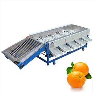 Txiv kab ntxwv sorting tshuab