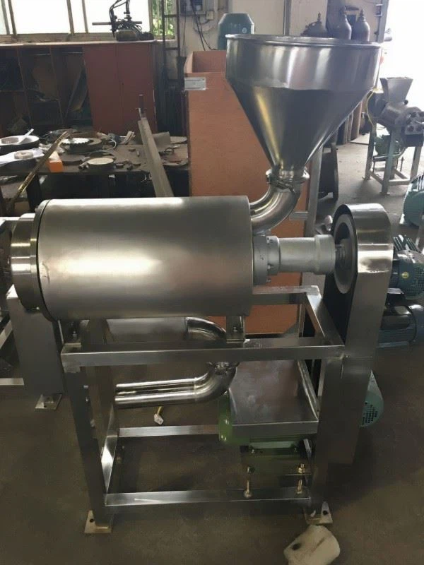 Fruit Pulp Extractor Machine