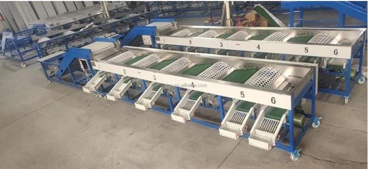 Garlic Onion Size Sorting Machine
