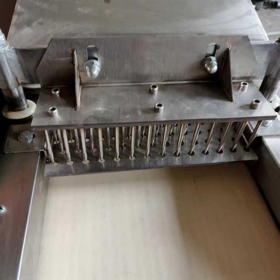 Garlic Pricking Machine (3)