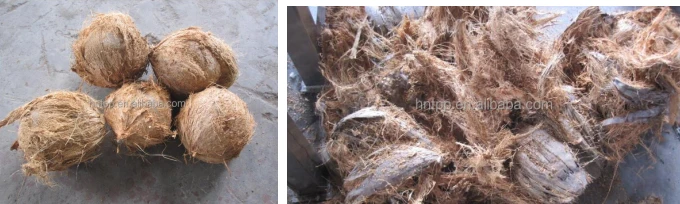 Coconut Husking Peeler Machine 6 Coconut Husking Peeler Machine 6