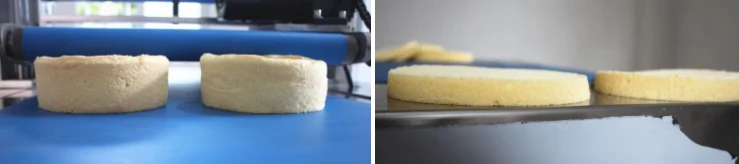 Horizontal Cake Slicing Machine 2 Horizontal Cake Slicing Machine 2